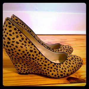Cheetah wedges